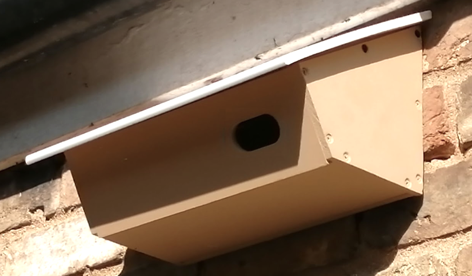 Swift nest box